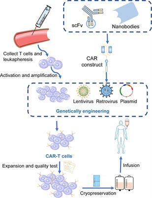 Chimeric Antigen Receptor T-Cell Therapy in Lung Cancer: Potential and Challenges